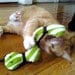 Catnip Snake Toy