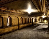 16x24 - Neglected Beauty Abandoned Building, Chicago Fine Art Architectural color digital photography  "2nd Floor Lobby"