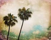 California, Los Angeles, Rodeo Drive, Summer Time, Palm Trees, Wall Decor, Travel Photography, Pop, Retro - Retro Palm Trees