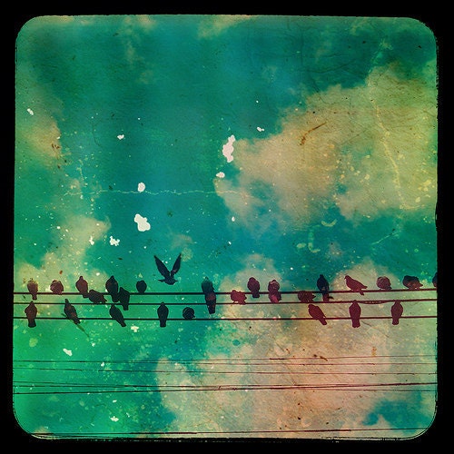 Nature Photography, Pop, Surreal, Kids Room, Bird Photography, Fpoe, Clouds, Bright, Blue, Wall Decor, TTV, Kids Room, Fun -The Birds