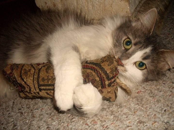 Beat-em Ups - Cat Toy made from Recycled Interior Fabric with Organic Catnip