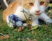 TWO Wooly Mice Cat Toys - Hand Knit Wool Felted Organic Catnip