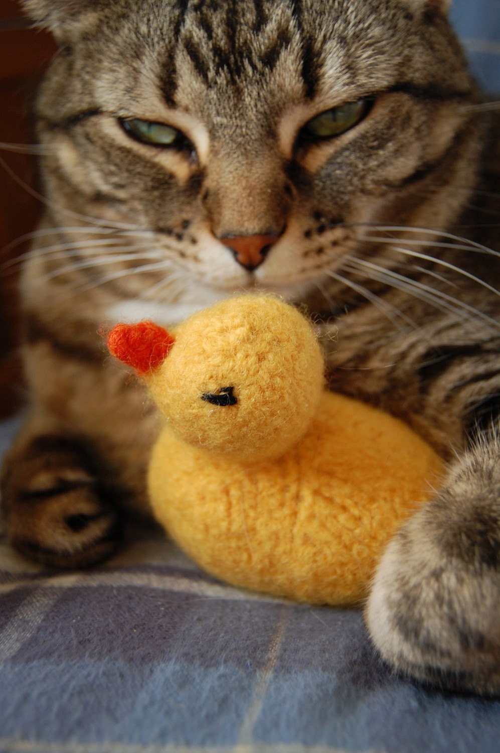 Rubber Ducky Cat Toy - Hand Knit Wool Felted Cat Toy with Organic Catnip