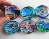 Blue Bubble Magnets, Set of 6