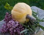 Pumpkin Needle Felted Honey