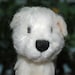Needle Felted Dog Maltese Puppy Wool Sculpture