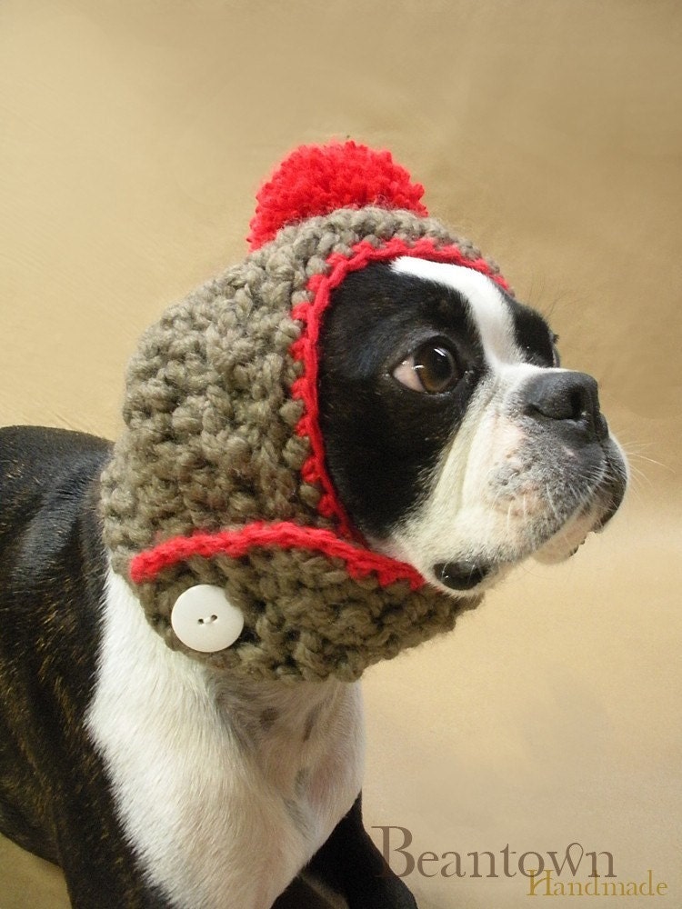 SPRING SALE Cherry on Top Dog Hat With Pom Pom