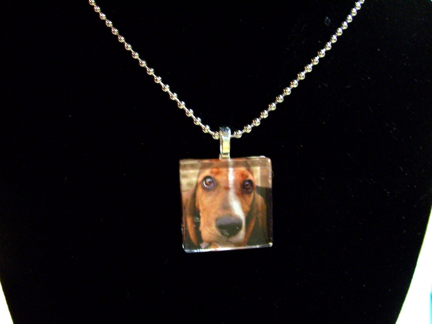 BASSET Hound dog photo glass pendant charm tile necklace magnet or pin dog rescue