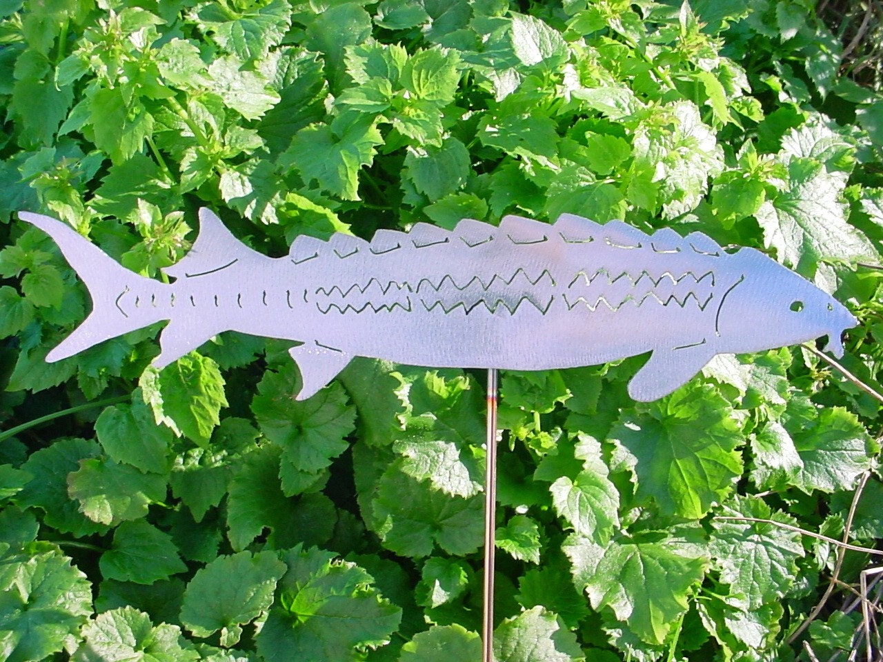 Sturgeon Fish Caviar Metal Outdoor Lawn Ornament Yard Art Plant Stake Garden Decor Spike