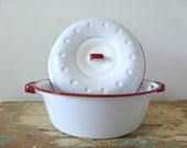 Covered Enamelware Roaster
