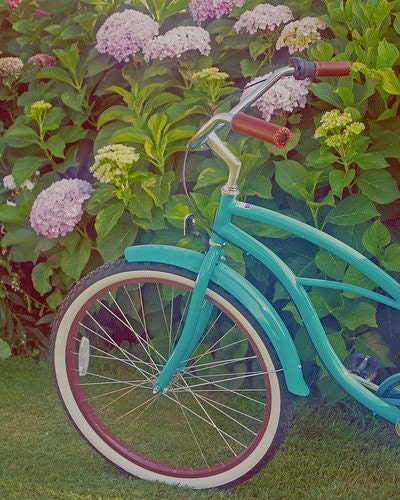 Pink Hydrangeas & Turquoise Beach Cruiser - 8 x 10 Fine Art Photography Print