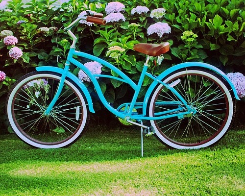 Turquoise Beach Cruiser Amongst The Hydrangeas - 8 x 10 Photography Print