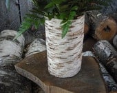 Birch Bark covered glass vase. For your nature, woodland, rustic, eco-friendly wedding. Handmade in New Hampshire.