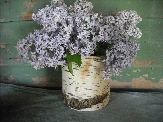 Set of 10 Birch Bark  flower vases.  Made from New Hampshire bark. Made with a recycled can. Nice for your woodland rustic home or wedding.