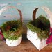 2 mini birch bark and moss baskets