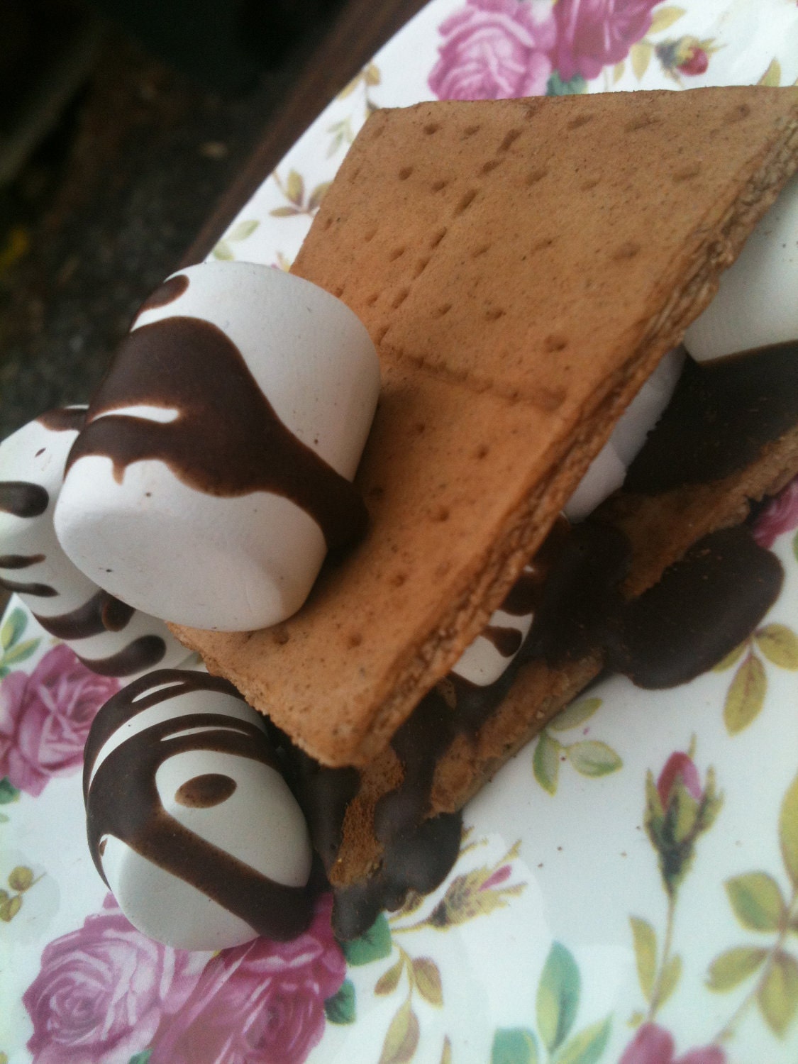 Graham Cracker Smores Magnet 2x2