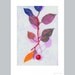 Morello Cherry (print)