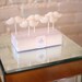 Original mustache on a stick hard candy lollipops - 6 pc. - READY TO SHIP