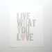 Live What You Love Special Edition 2011