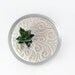 Mini Zen Garden II