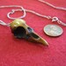 Raven Skull  Necklace - Antique  Bone Finish