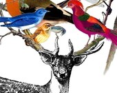 DEER BIRDY - Deluxe 8x10 inch Print on A4bird featuring Vintage Deer and Beautiful Birds