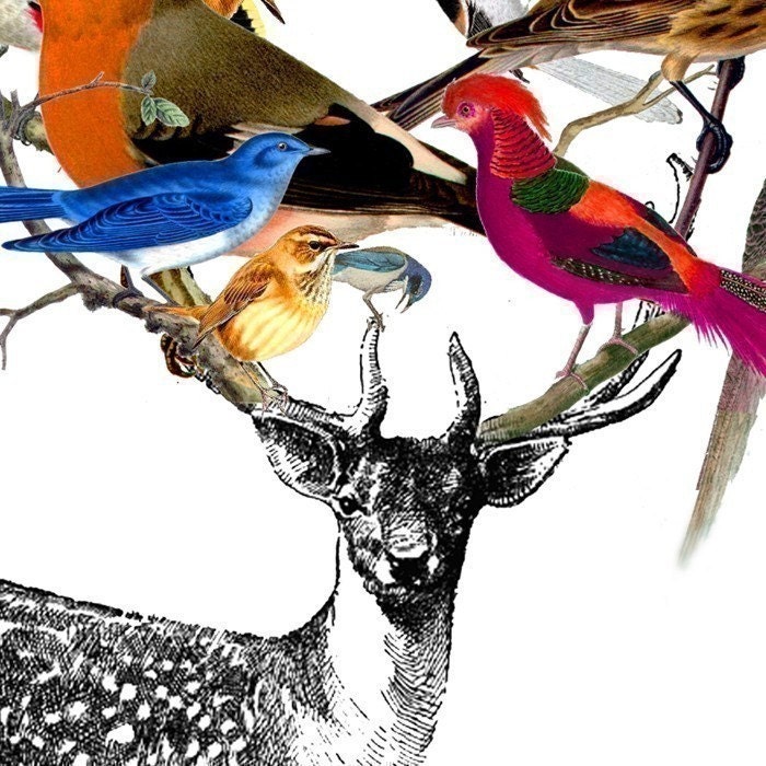 DEER BIRDY - Deluxe 8x10 inch Print on A4bird featuring Vintage Deer and Beautiful Birds