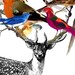 DEER BIRDY - Deluxe 8x10 inch Print on A4bird featuring Vintage Deer and Beautiful Birds