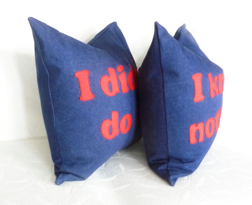 Dorm Decor Word Pillow, Funny Man Cave or Teens Pillow Cover, I Didn't Do It, Text Message, Decorative Couch or Sofa Accent    20x20