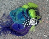 Feather Hair clip