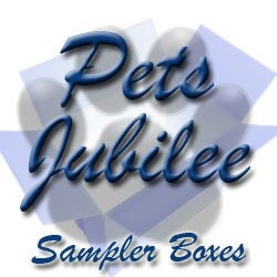 Custom Needle Felted Sculpture Of Your Dog