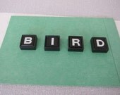 BIRD vintage game