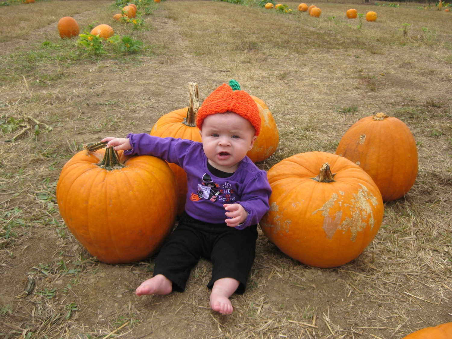 NEWBORN, INFANT, PREEMIE Pumpkin Hats