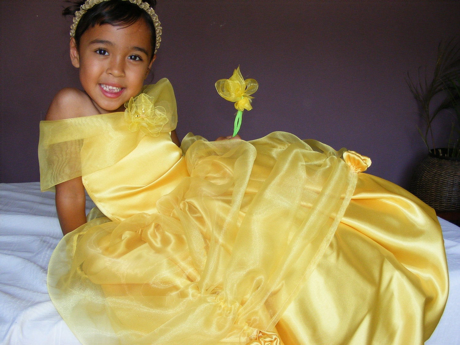 Princess Belle Costume Dress Sizes 6-9