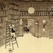Explore the Library - Large Limited Edition (5/350)
