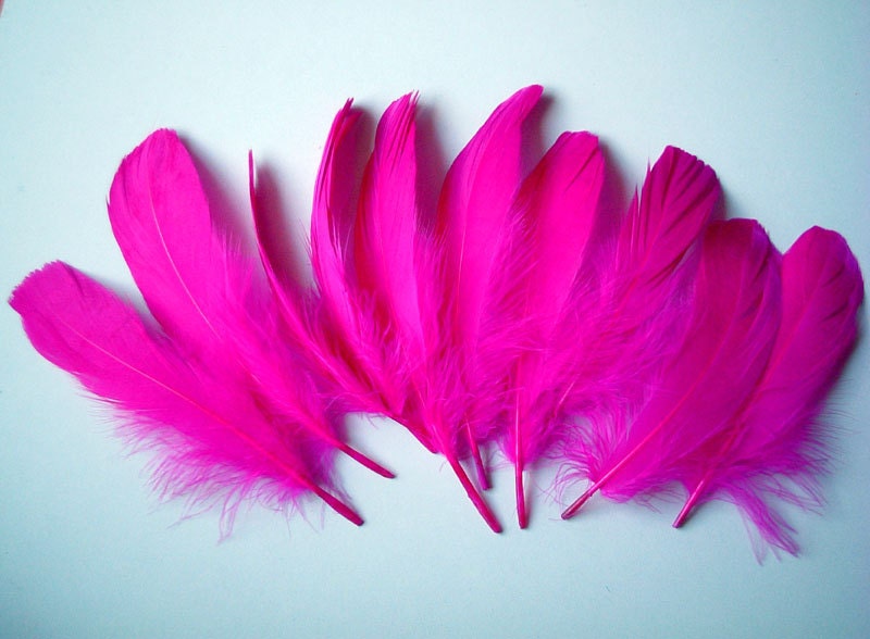 faux feathers