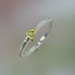 Tiny Bee Stacking Ring,  Silver Honey Bee Stacking Ring, Sterling Silver, 18k Gold Bee, Made to order