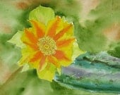 Yellow Cactus Flower with Orange Streaks Greeting Cards by Nan Henke 4 1/4 x 5 1/2 inch (a set of 4) Blank
