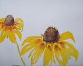 Brown Eyed Susan wildflowers by Nan Henke watercolor painting 11x14 Original