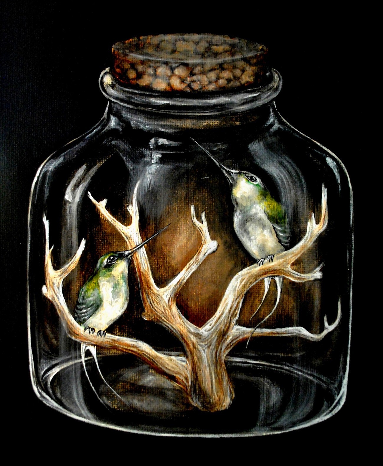 Hummingbird Print, Nocturnum 4 11 x 9