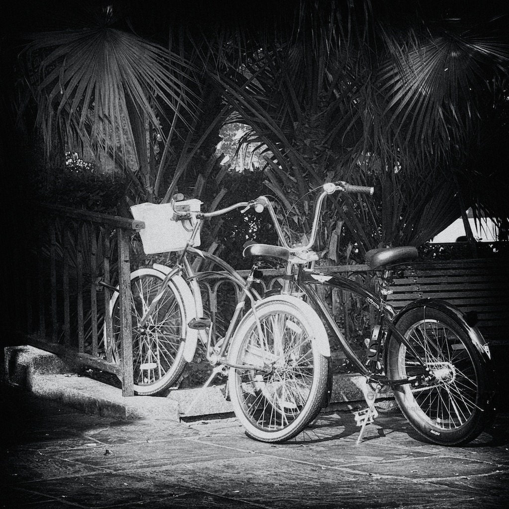 Waiting - 8 x 8 Fine Art Print