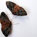 Soft Sculpture Copper Underwing Moth Fabric Brooch / Vintage Wool Silk Brown / Made to Order/ Only Two Left