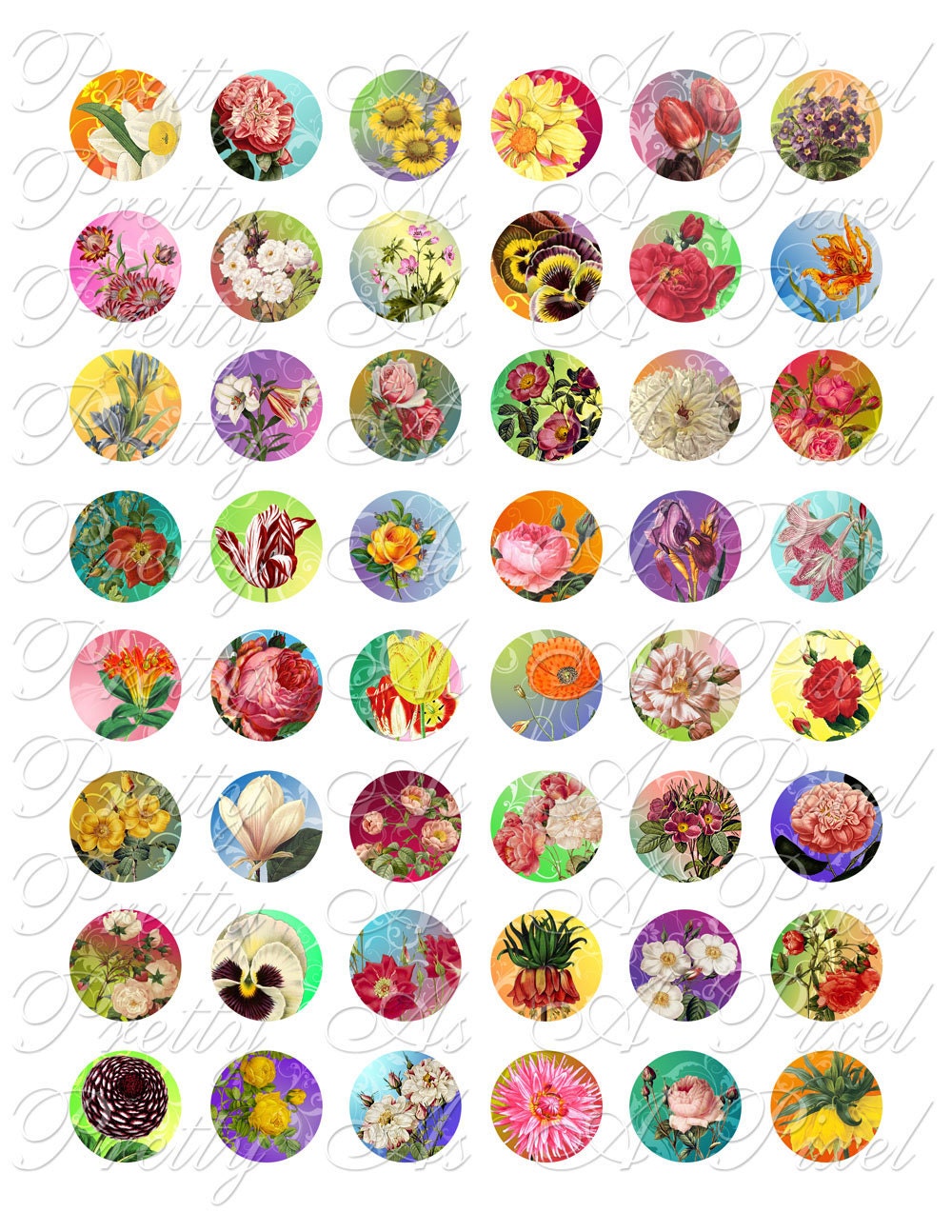 Bright & Colorful Vintage Flower Illustrations - One Inch Circles - INSTANT DOWNLOAD - Digital Collage Sheet
