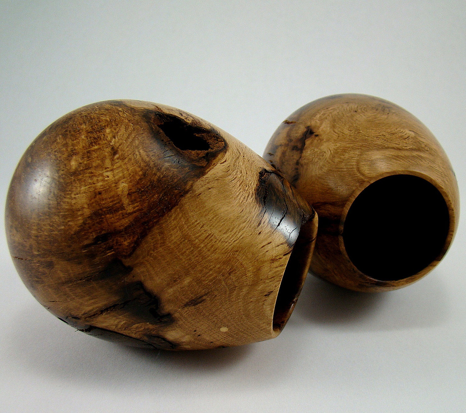 Oak Burl Pods