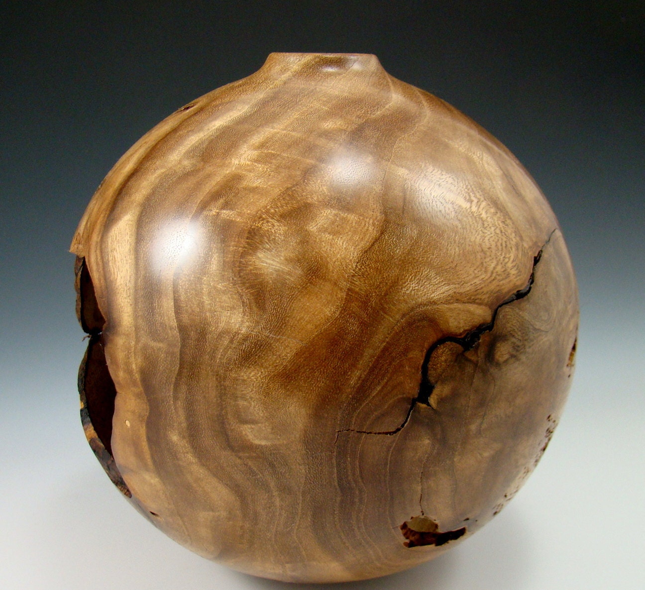 Cavernous Remains - Russian Olive Burl Vessel