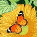 Butterfly on sunflower, Acrylic painting, Monarch butterfly and Yellow flower, 10" x 10"