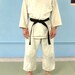 Hemp gi, martial arts uniform, aikido, karate, judo, ju jitsu, jujitsu, kendo