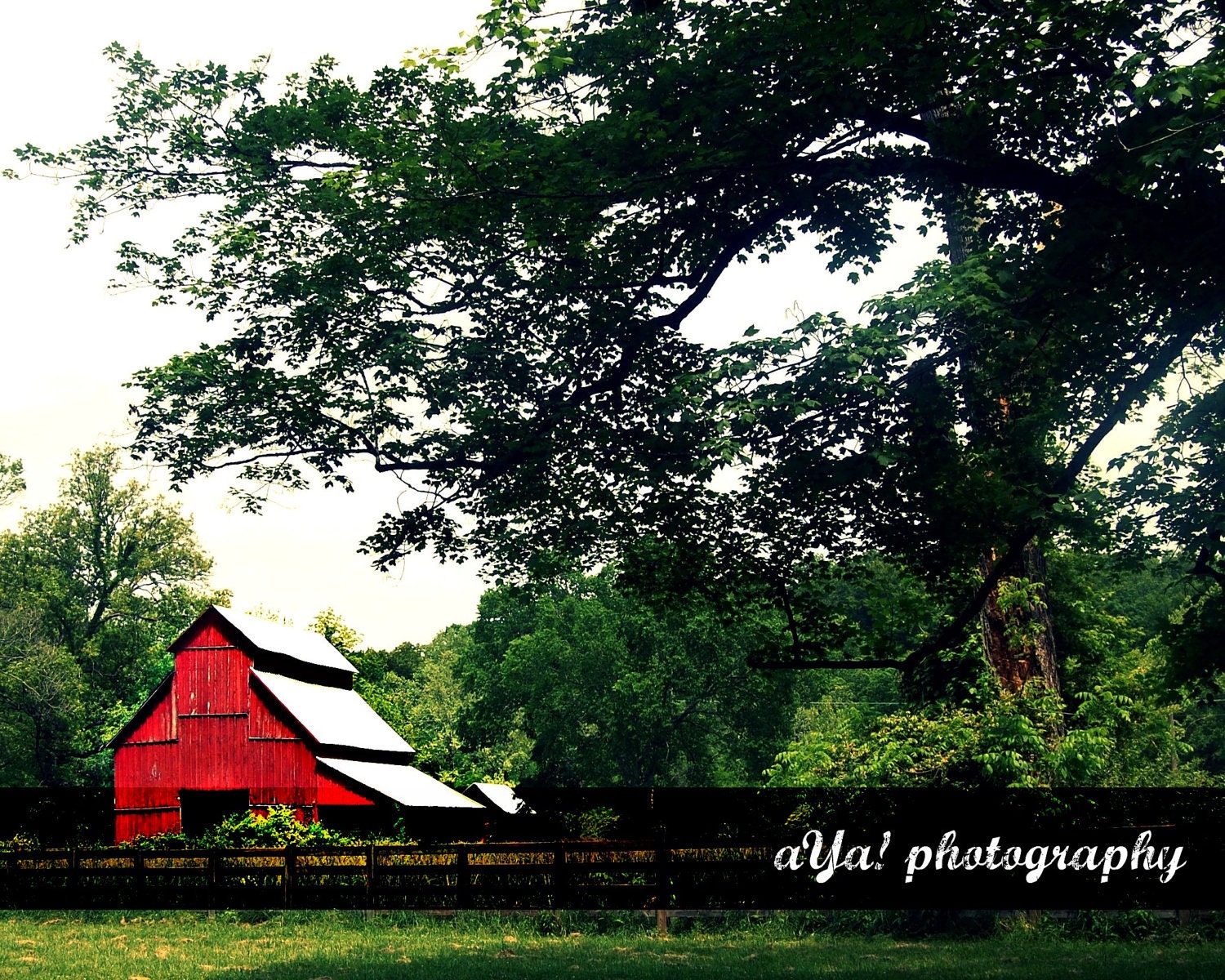 Little Red Barn - 8x10 Photography print