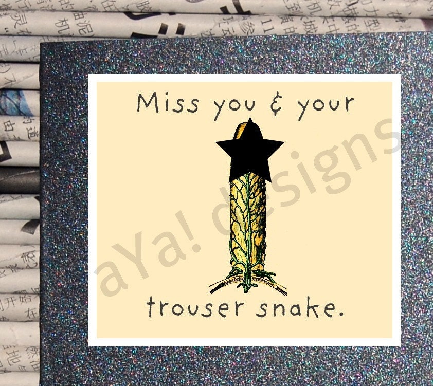 MATURE - Miss you and your trouser snake greeting card - Dirty, Naughty, Funny Adult Card