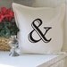 Ampersand pillow cover